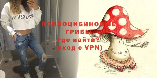 молекула духа Алзамай