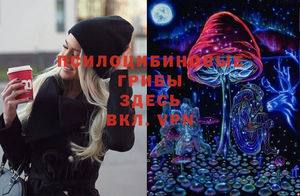 молекула духа Алзамай