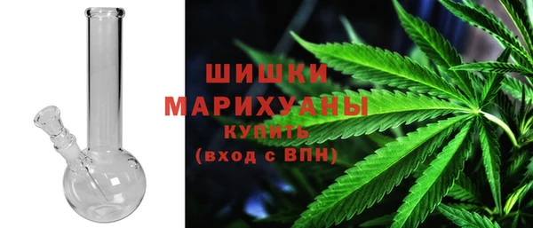 прущие крисы Калининец