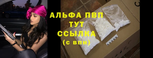 стаф Нестеровская