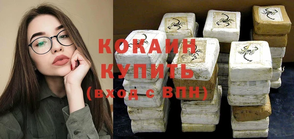 шишки Магадан